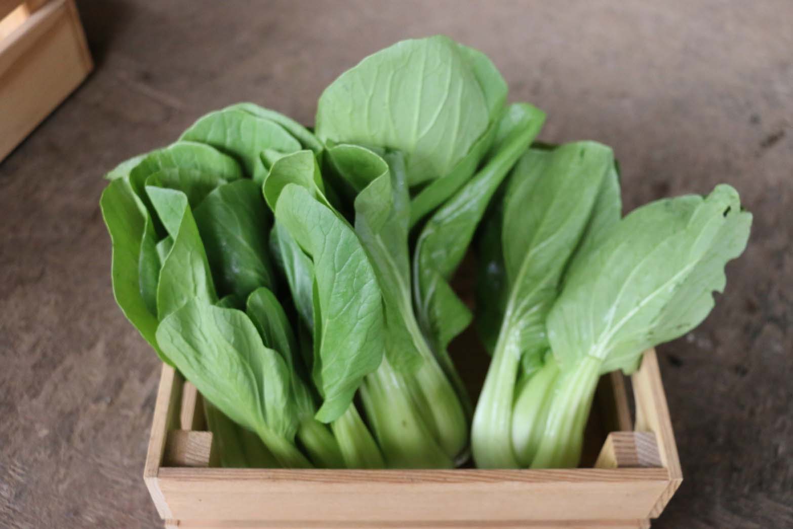 蔬菜檢驗
