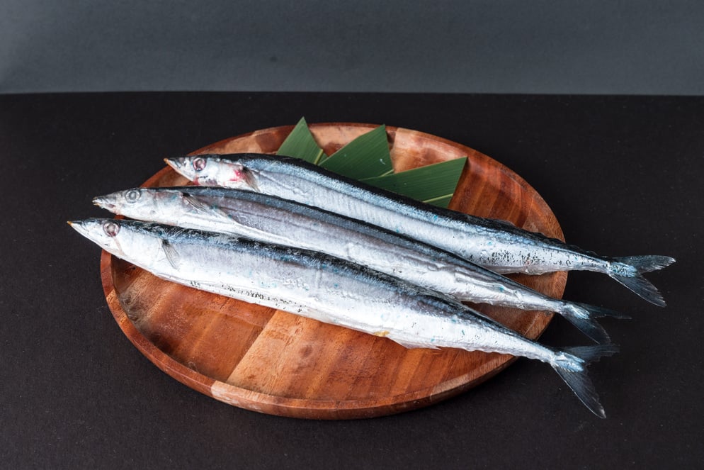 1號秋刀魚