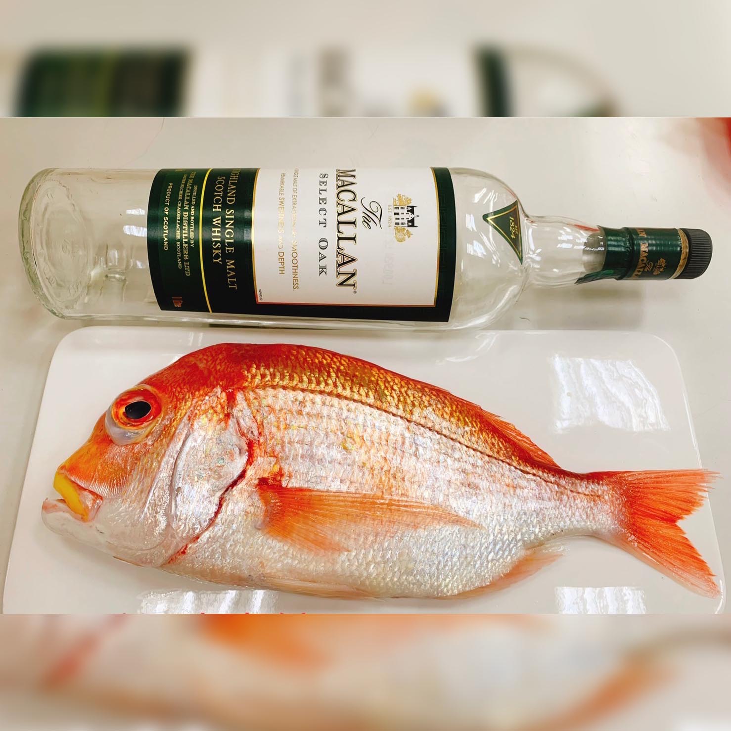 手釣深海大老宗