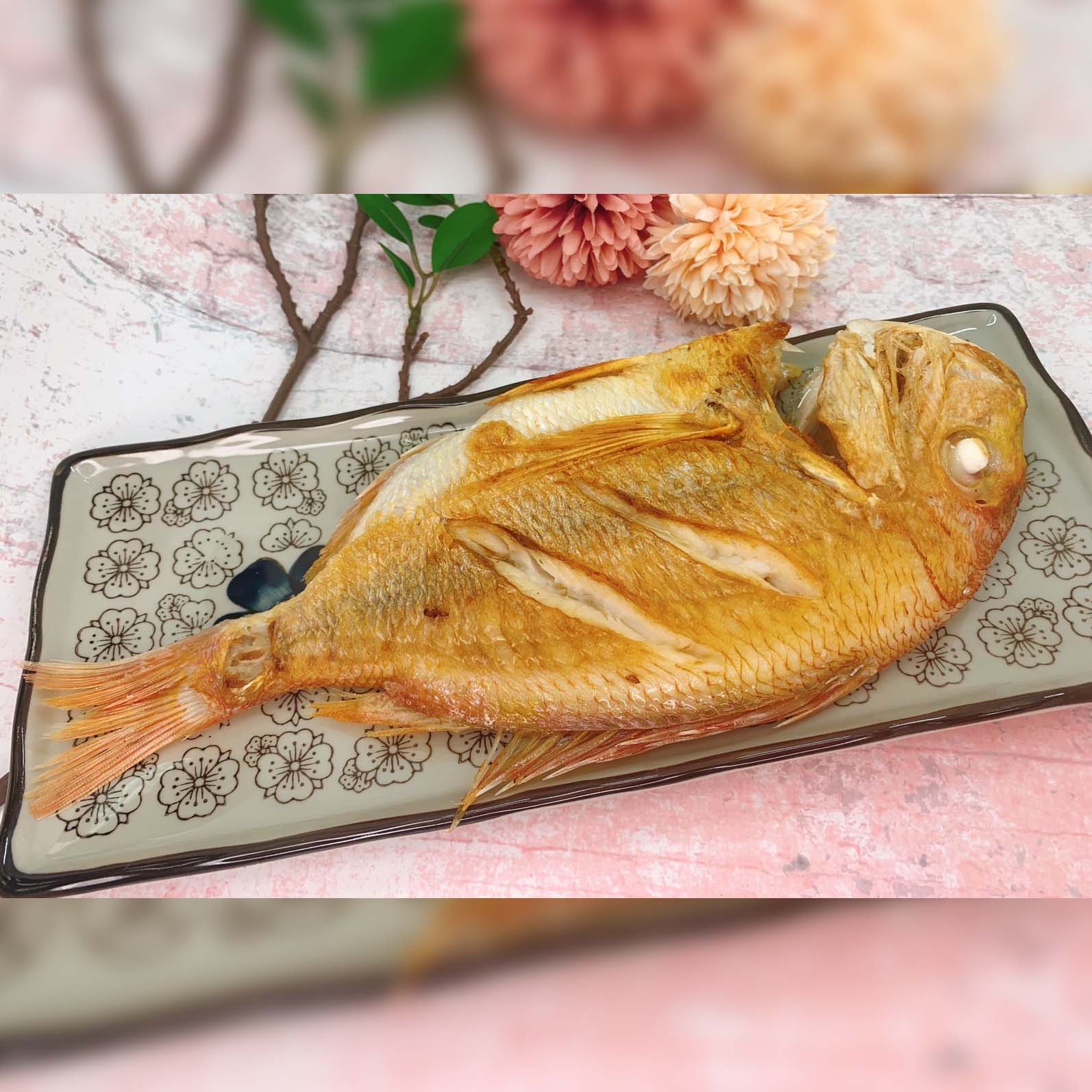 手釣深海大老宗