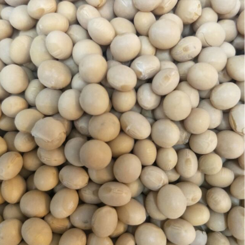 乾糧乾貨